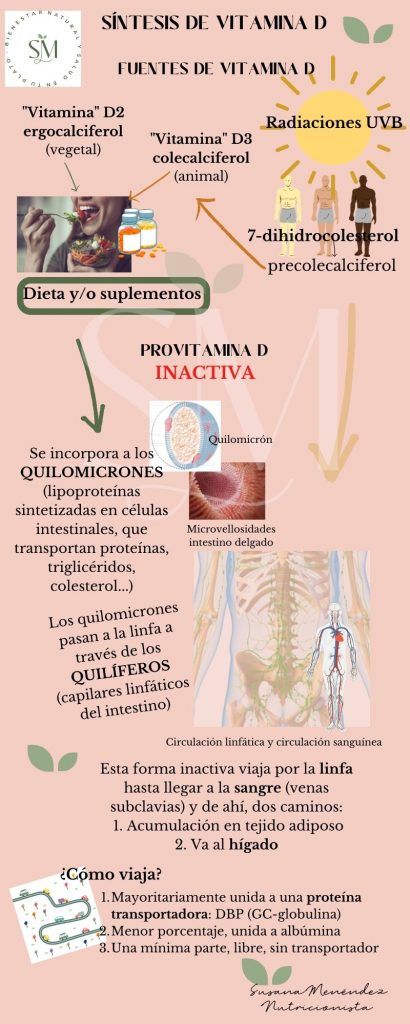Sintesis Vitamina D1