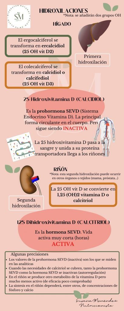 Síntesis Vitamina D. Hidroxilaciones