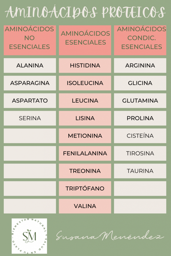 AMINOACIDOS