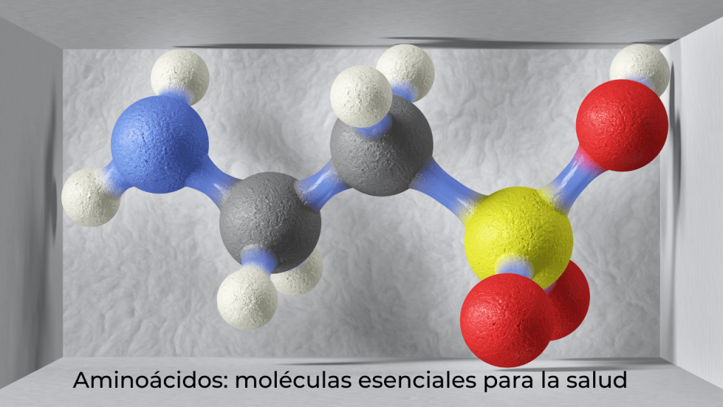 Aminoacidos 1