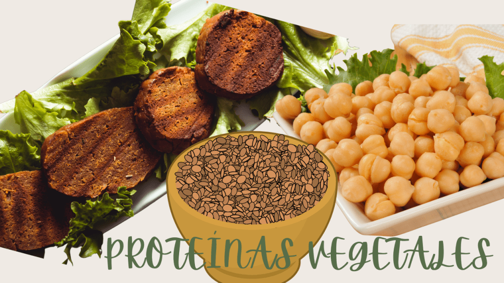 PROTEINAS VEGETALES