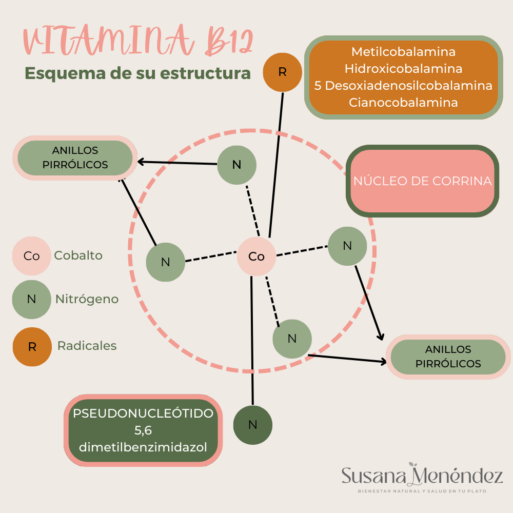 Estructura de la vitamina B12 2