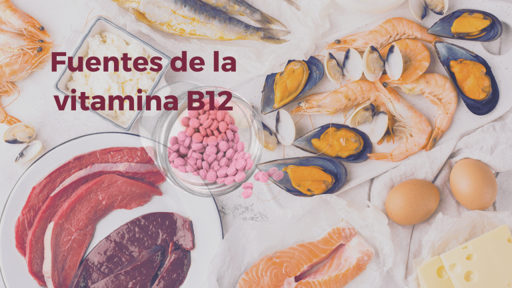 Fuentes de la vitamina B12 1
